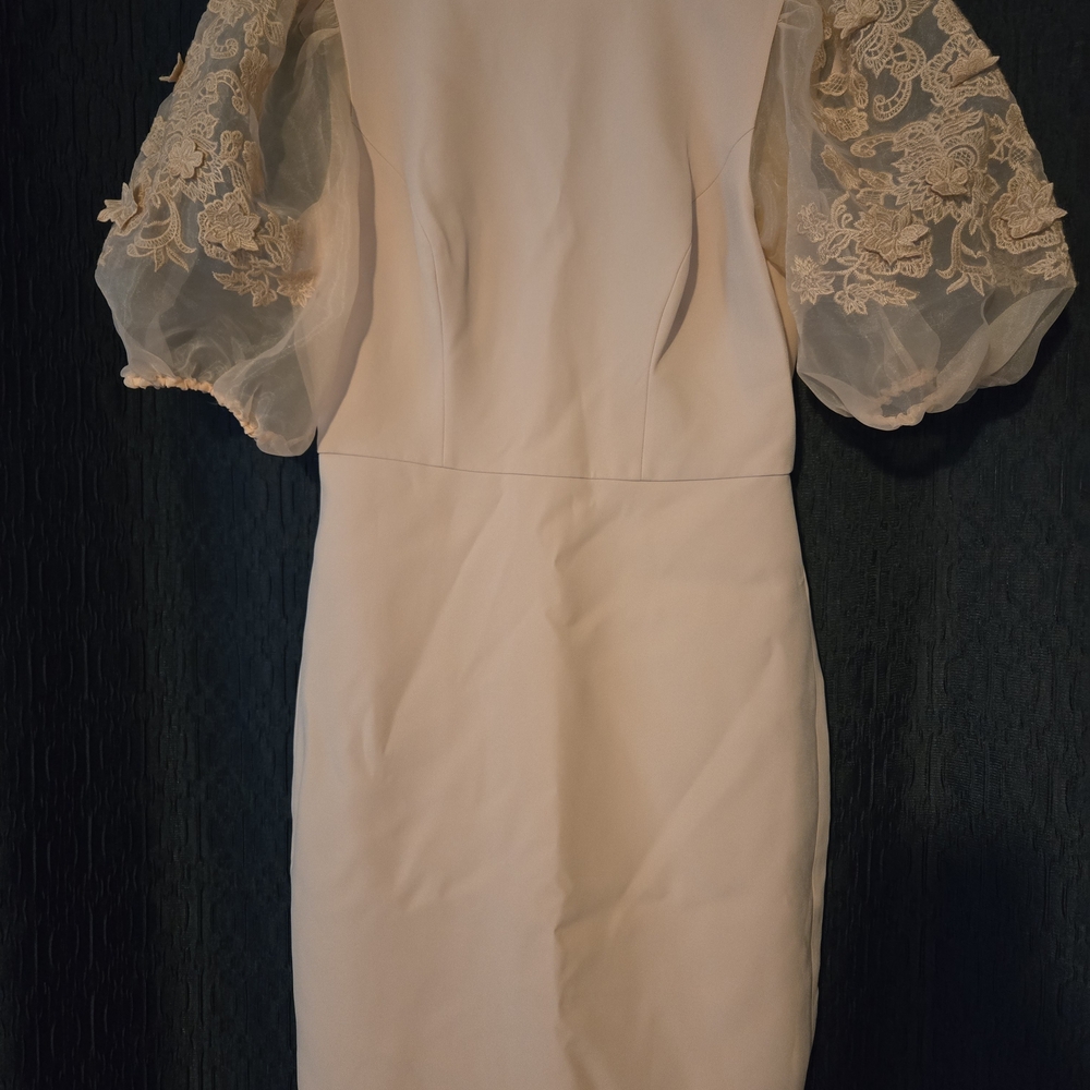 BCBGMaxAzria Cream Dress with Lace Sleeves